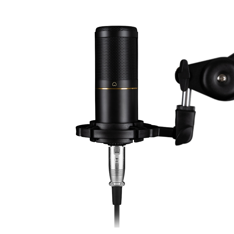 Profesjonalny mikrofon pojemno – Streaming Mic Condenser recenzja i cena